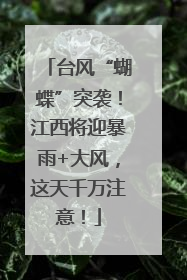 台风“蝴蝶”突袭！江西将迎暴雨+大风，这天千万注意！