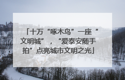 十万“啄木鸟”一座“文明城”，“爱泰安随手拍”点亮城市文明之光