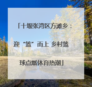 十堰张湾区方滩乡：迎“篮”而上 乡村篮球点燃体育热潮