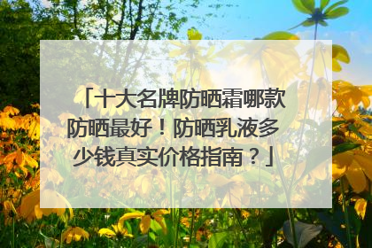 十大名牌防晒霜哪款防晒最好！防晒乳液多少钱真实价格指南？