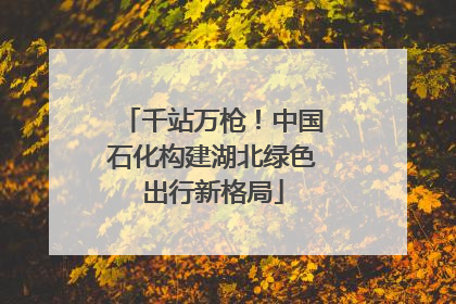 千站万枪！中国石化构建湖北绿色出行新格局