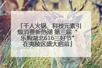 千人火锅、科技元素引爆消费新热潮 第三届“乐购湖北616三好节”在夷陵区盛大启幕