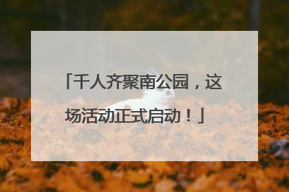 千人齐聚南公园，这场活动正式启动！