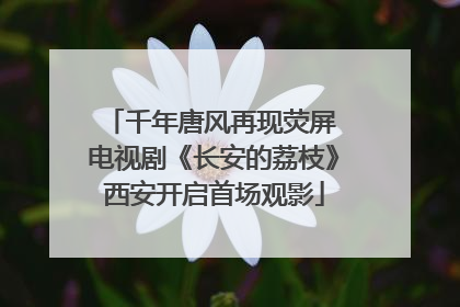 千年唐风再现荧屏 电视剧《长安的荔枝》西安开启首场观影