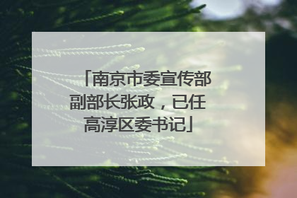 南京市委宣传部副部长张政，已任高淳区委书记