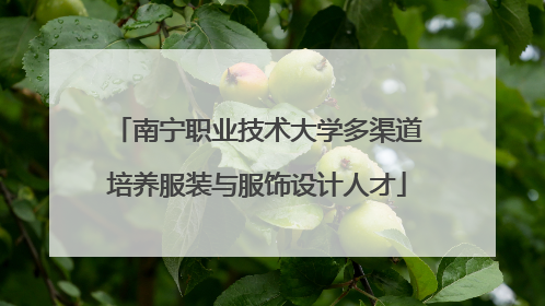 南宁职业技术大学多渠道培养服装与服饰设计人才