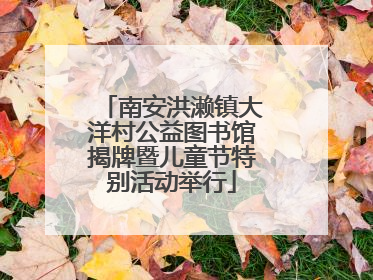 南安洪濑镇大洋村公益图书馆揭牌暨儿童节特别活动举行