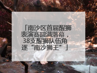 南沙区首届醒狮表演赛圆满落幕，38支醒狮队伍角逐“南沙狮王”