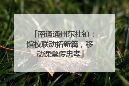 南通通州东社镇：馆校联动拓新篇，移动课堂传忠孝
