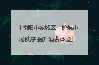 南阳市宛城区：护航市场秩序 提升消费体验