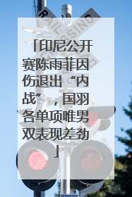 印尼公开赛陈雨菲因伤退出“内战”，国羽各单项唯男双表现差劲