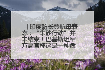 印度防长登航母表态：“朱砂行动”并未结束！巴基斯坦军方高官称这是一种危险的状况……