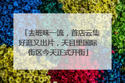 去班味一流，首店云集好逛又出片，天目里国际街区今天正式开街