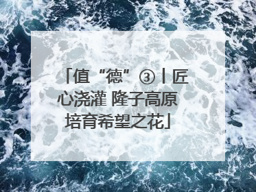 值“德”③丨匠心浇灌 隆子高原培育希望之花