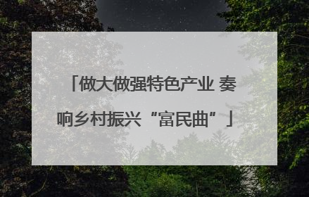 做大做强特色产业 奏响乡村振兴“富民曲”