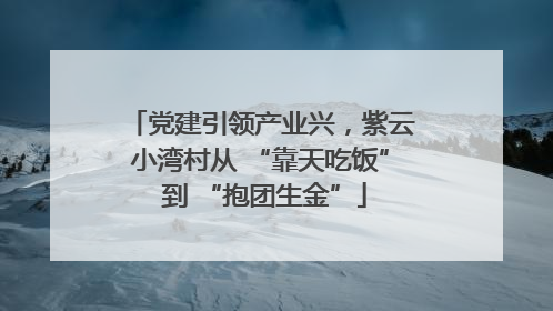 党建引领产业兴，紫云小湾村从 “靠天吃饭” 到 “抱团生金”