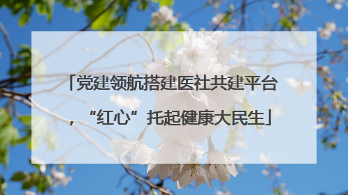 党建领航搭建医社共建平台，“红心”托起健康大民生