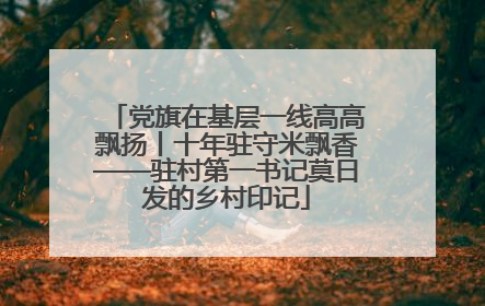 党旗在基层一线高高飘扬丨十年驻守米飘香——驻村第一书记莫日发的乡村印记