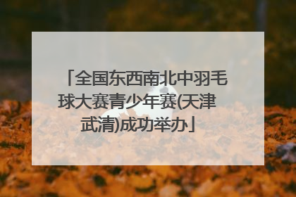 全国东西南北中羽毛球大赛青少年赛(天津武清)成功举办