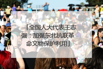 全国人大代表王志强：加强东北抗联革命文物保护利用