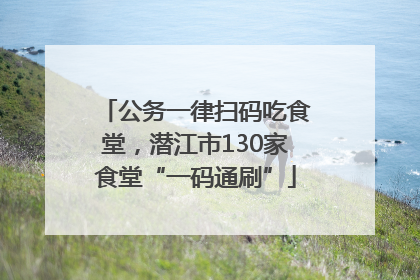 公务一律扫码吃食堂，潜江市130家食堂“一码通刷”
