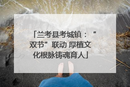 兰考县考城镇：“双节”联动 厚植文化根脉铸魂育人