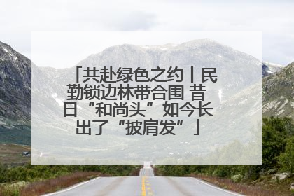 共赴绿色之约丨民勤锁边林带合围 昔日“和尚头”如今长出了“披肩发”