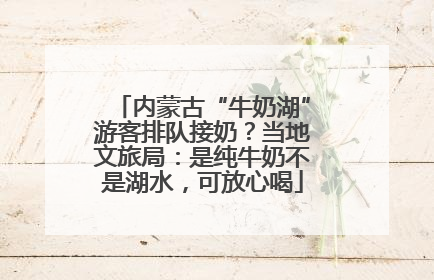 内蒙古“牛奶湖”游客排队接奶？当地文旅局：是纯牛奶不是湖水，可放心喝
