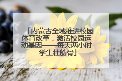 内蒙古全域推进校园体育改革，激活校园运动基因——每天两小时 学生壮筋骨