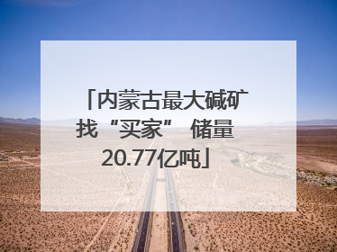 内蒙古最大碱矿找“买家” 储量20.77亿吨