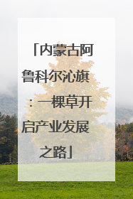 内蒙古阿鲁科尔沁旗：一棵草开启产业发展之路