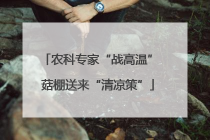 农科专家“战高温” 菇棚送来“清凉策”