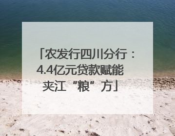 农发行四川分行：4.4亿元贷款赋能夹江“粮”方