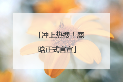 冲上热搜！鹿晗正式官宣