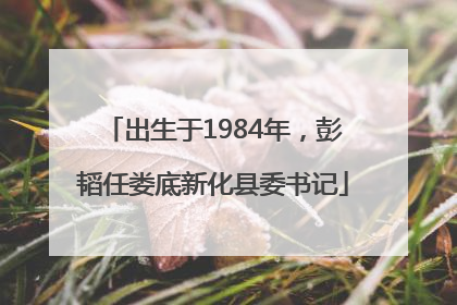 出生于1984年，彭韬任娄底新化县委书记