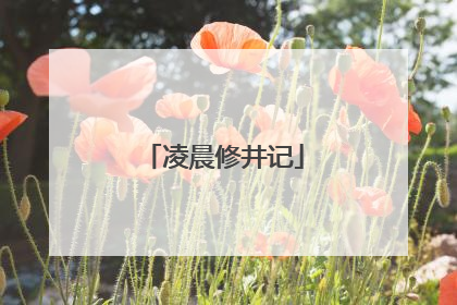 凌晨修井记