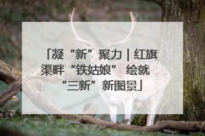 凝“新”聚力｜红旗渠畔“铁姑娘” 绘就“三新”新图景