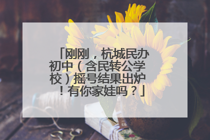 刚刚，杭城民办初中（含民转公学校）摇号结果出炉！有你家娃吗？