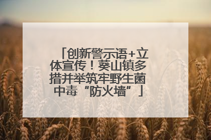 创新警示语+立体宣传！葵山镇多措并举筑牢野生菌中毒“防火墙”
