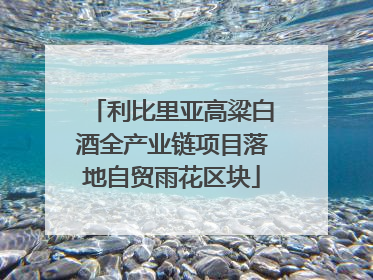 利比里亚高粱白酒全产业链项目落地自贸雨花区块