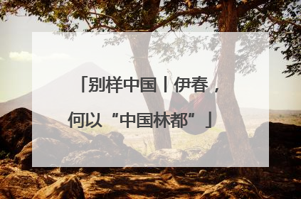 别样中国丨伊春，何以“中国林都”