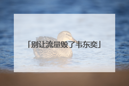 别让流量毁了韦东奕