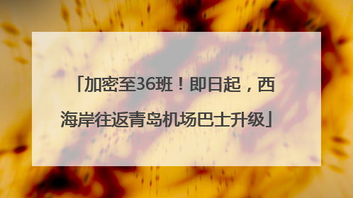 加密至36班！即日起，西海岸往返青岛机场巴士升级