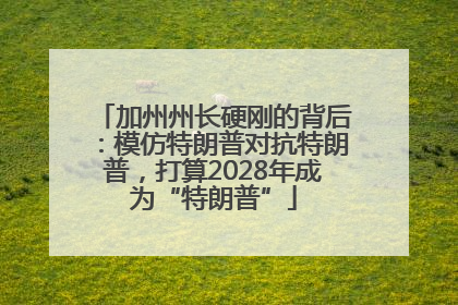 加州州长硬刚的背后：模仿特朗普对抗特朗普，打算2028年成为“特朗普”