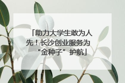 助力大学生敢为人先！长沙创业服务为“金种子”护航