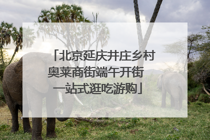 北京延庆井庄乡村奥莱商街端午开街 一站式逛吃游购