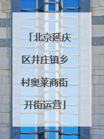 北京延庆区井庄镇乡村奥莱商街开街运营
