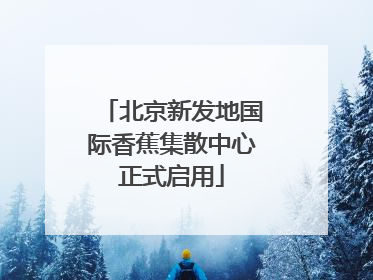 北京新发地国际香蕉集散中心正式启用