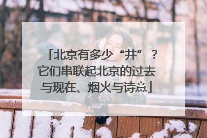 北京有多少“井”？它们串联起北京的过去与现在、烟火与诗意