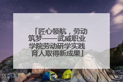 匠心领航，劳动筑梦——武威职业学院劳动研学实践育人取得新成果